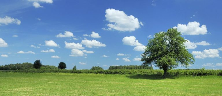 Les produits les plus sains et les techniques sans biocides (produits chimiques) sont systématiquement privilégiés.